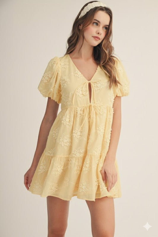 Whispering Bloom Embroidered Dress