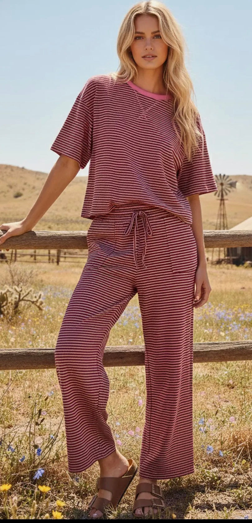 Pink And Brown Striped Pant Set
