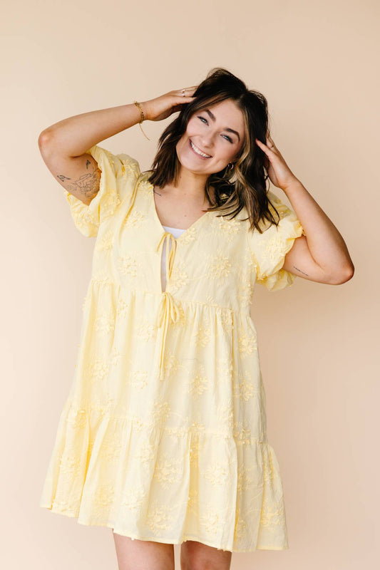 Whispering Bloom Embroidered Dress